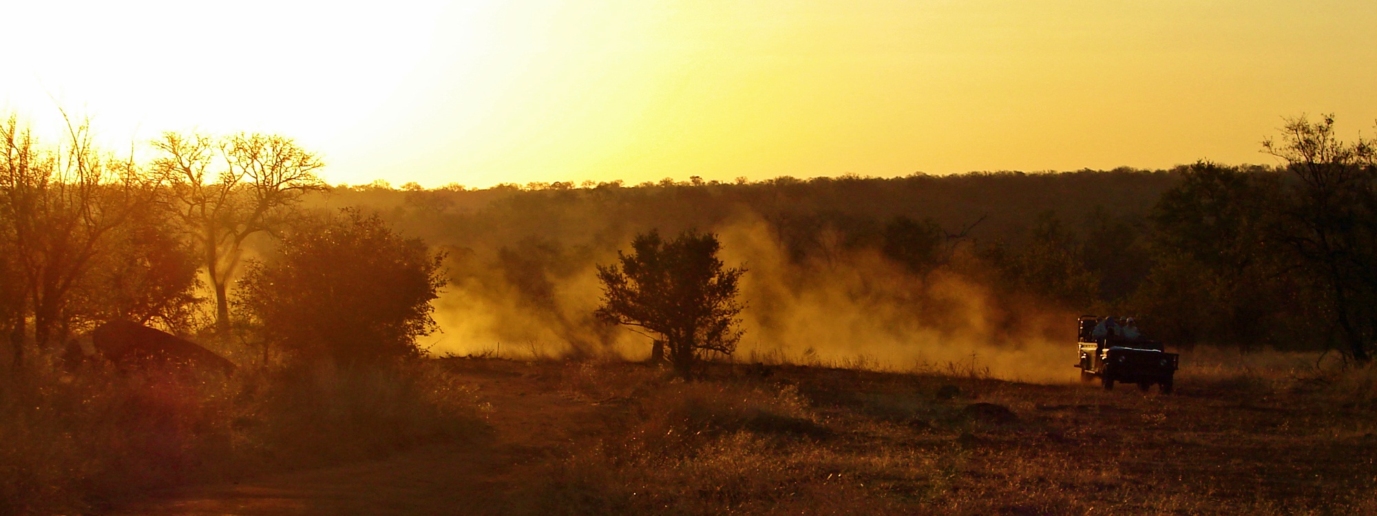 Auf Safari in der glühenden Savanne Auf Safari in der glühenden Savanne
